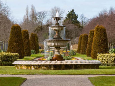 Everything You Need to Know About Garden Fountains