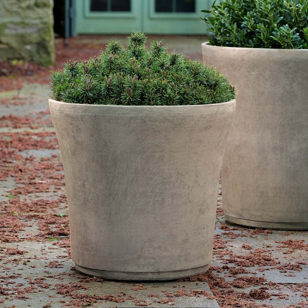 Cloche Large Planter