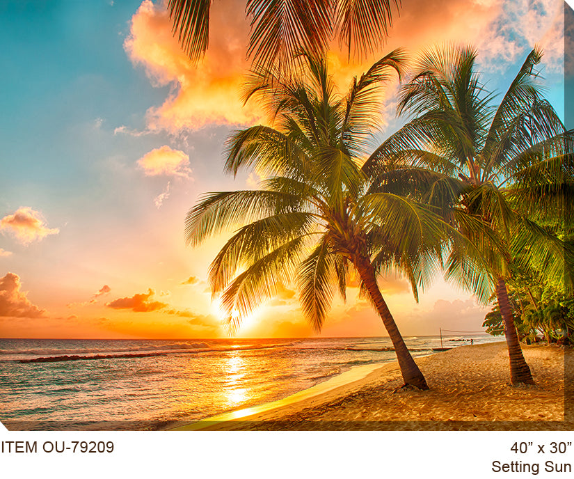 Setting Sun Outdoor Canvas Art
