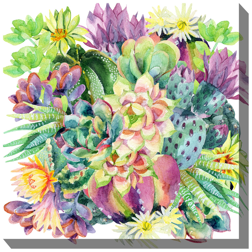 succulent artwork West of the Wind SUCCULENT BLOOMS Indoor/Outdoor ART 24"X24"