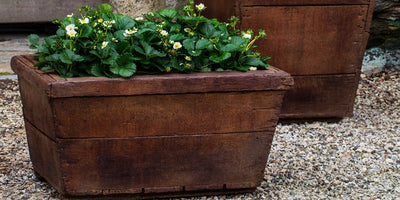 How to Fill Extra Large Ceramic Planters