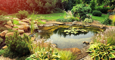 12 Things Your Meditation Garden Needs