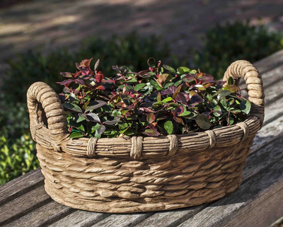 4 Basket Planters for your Backyard