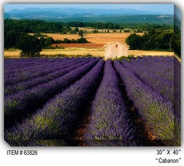 Flower Outdoor Canvas Art