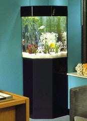 Large Aquariums