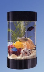 Small Aquariums