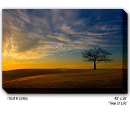 Tree Outdoor Canvas Art