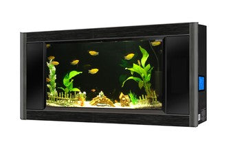 Wall Aquariums