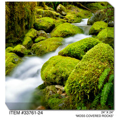 Wilderness Outdoor Canvas Art