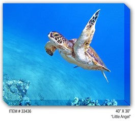 Wildlife Outdoor Canvas Art