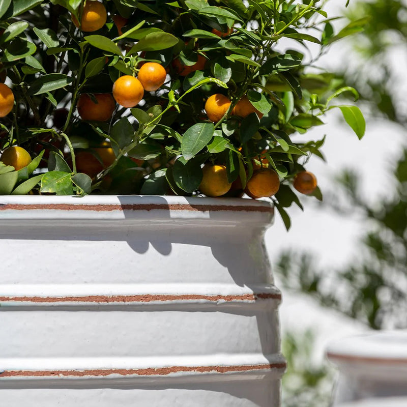 Vari Planter Nested Set of 3 | Glazed Collection