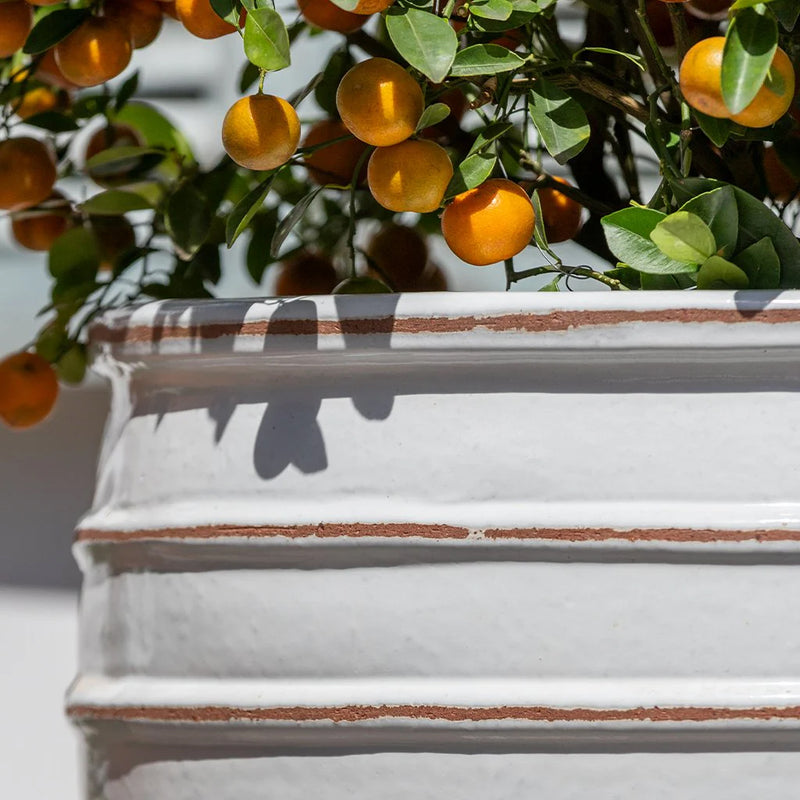 Vari Planter Nested Set of 3 | Glazed Collection