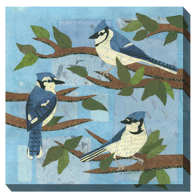 Blue Jay Trio Canvas Wall Art