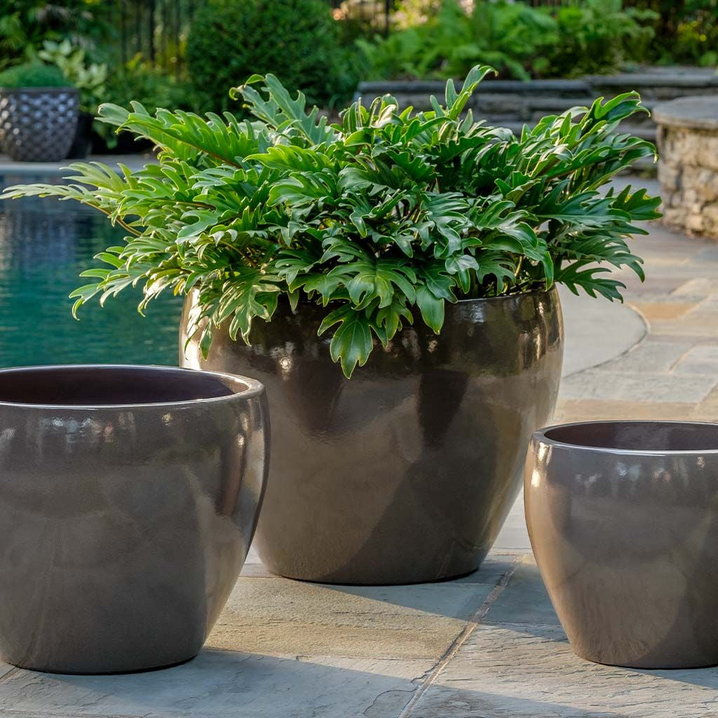 Cabachon Planter Set of 3