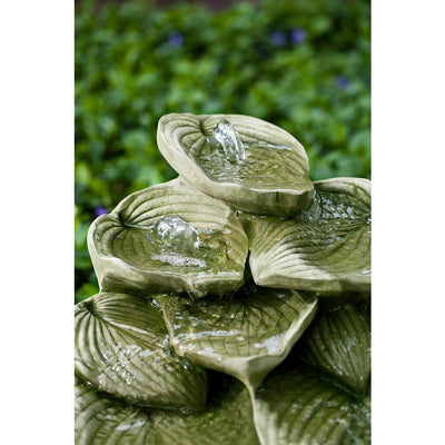 Cascading Hosta Fountain