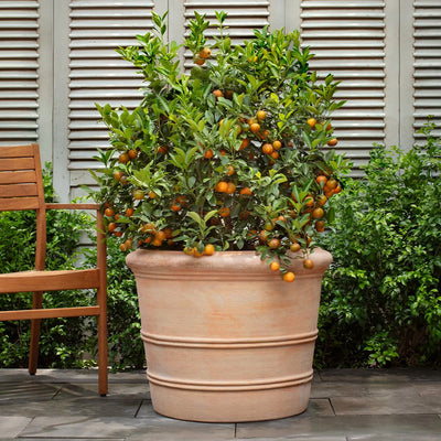 Classic Orangerie Planter Nested Set of 3 | Terra Cotta Collection