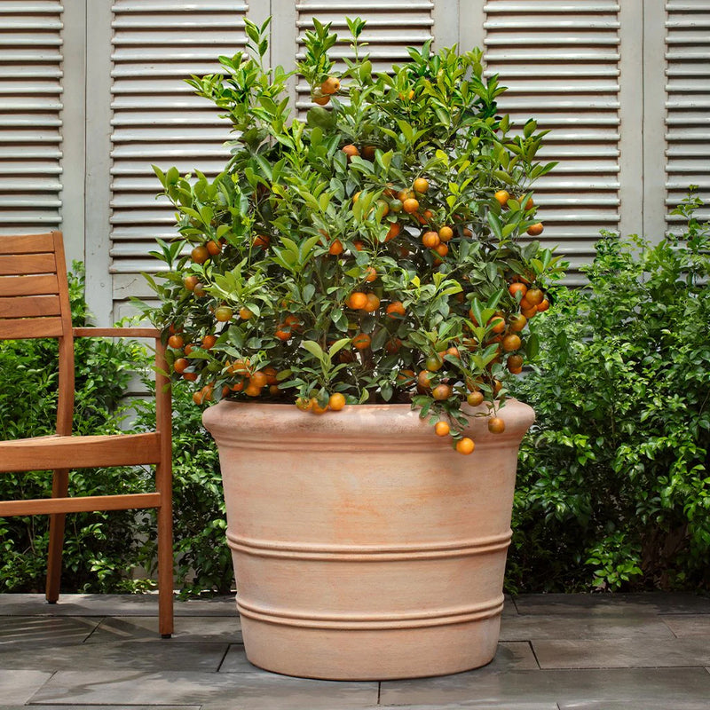 Classic Orangerie Planter Nested Set of 3 | Terra Cotta Collection