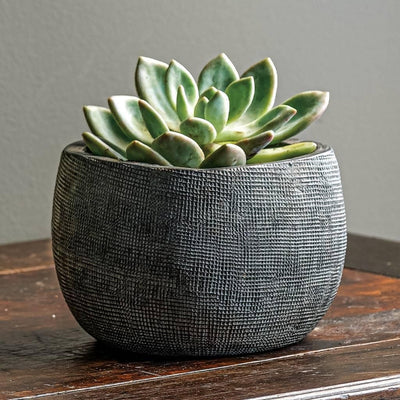 Jute Square Planters in Assorted Glaze Set of 6