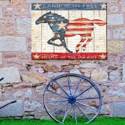 Land of the Free Canvas Wall Art