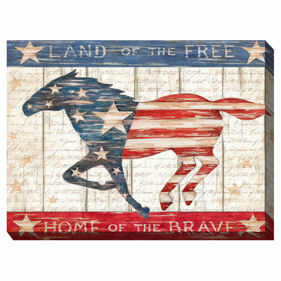Land of the Free Canvas Wall Art