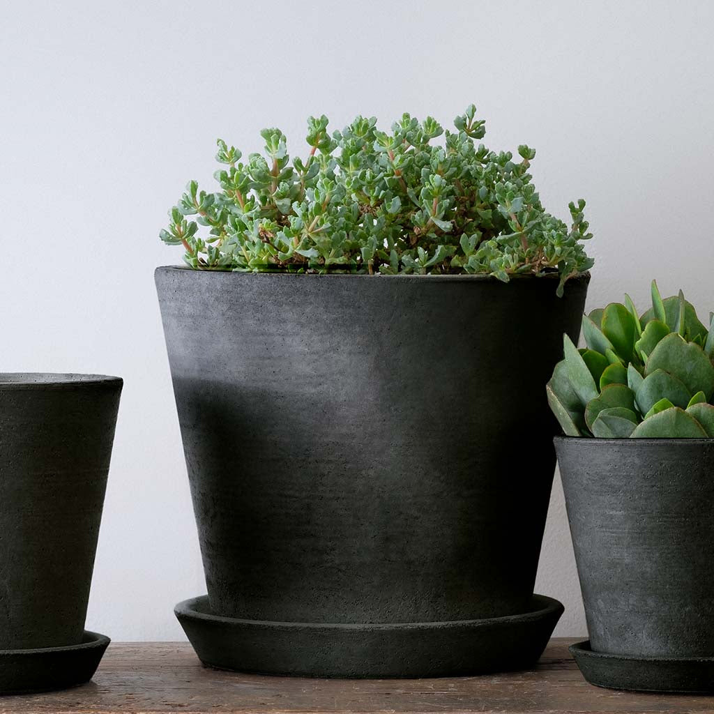 Essential Large Planter