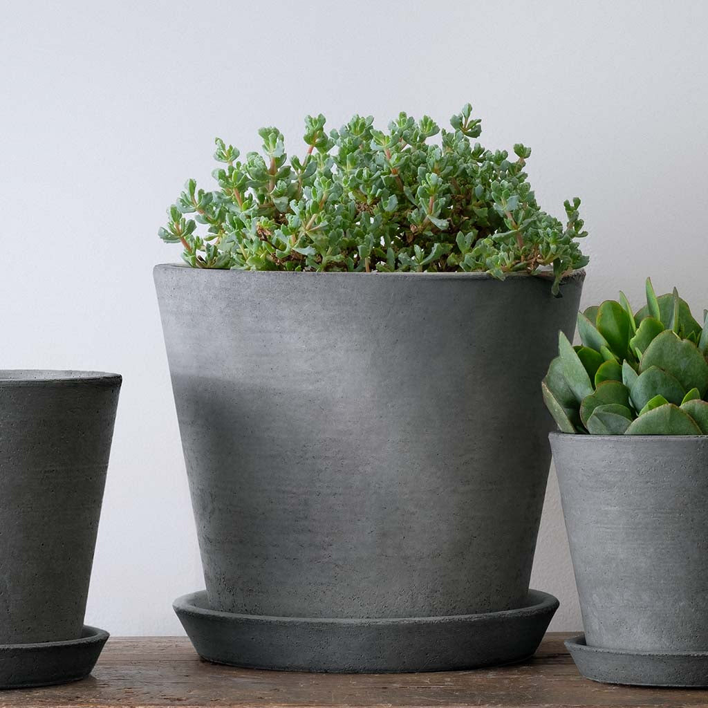 are cement pots good for plants Essential Large Planter