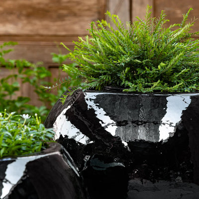 Le Petit Monde Planter | Glazed Collection