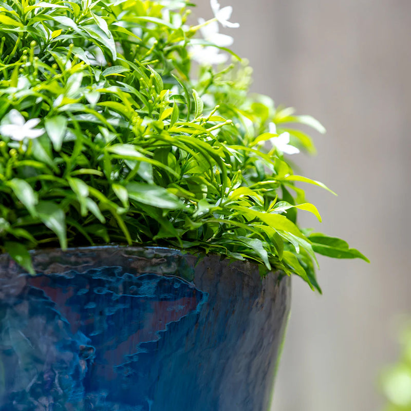 Foxglove Planter Nested Set of 3 | Glazed Collection