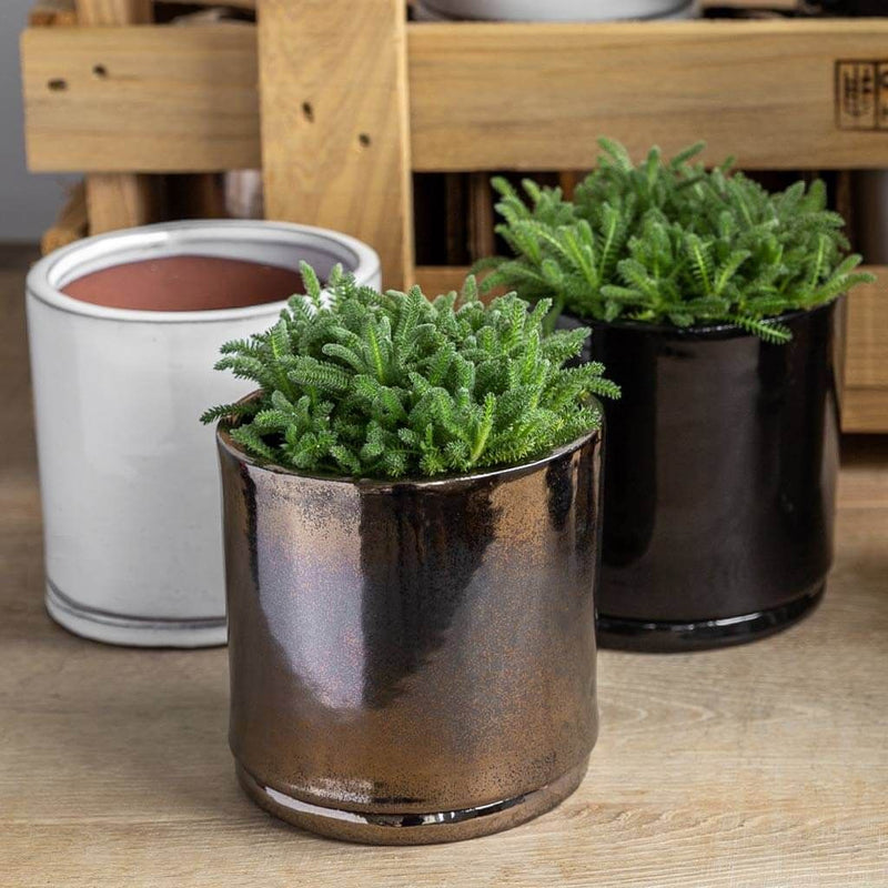 Small Cylinder Planter Crate Set of 16 in Assorted Glaze