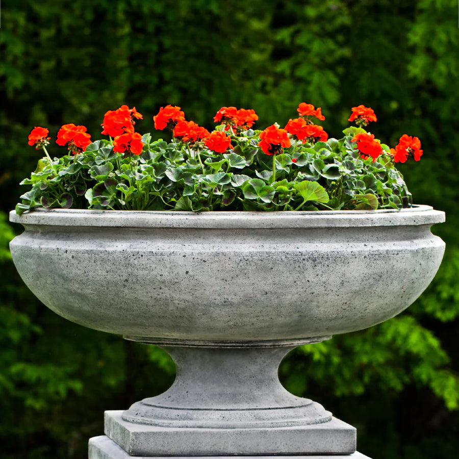 Concrete Planters  Soothing Company