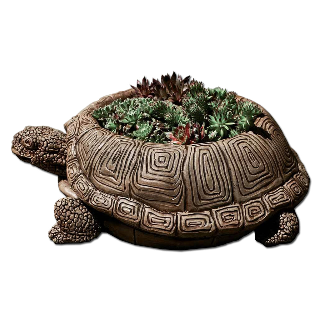 turtle succulent planter Turtle Garden Planter – Soothing Company