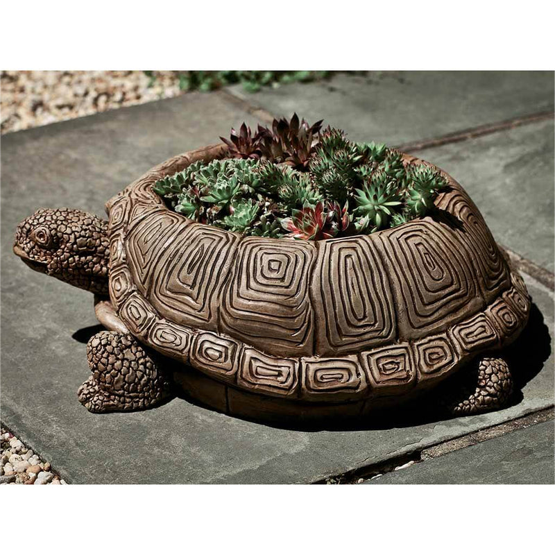 succulent tortoise planter Turtle Garden Planter – Soothing Company