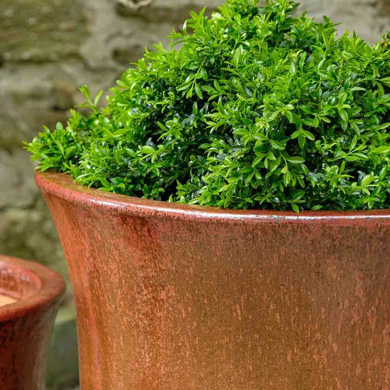 Campana Planter Nested Set of 3 | Glazed Collection