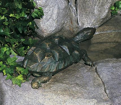 Brass Baron Medium Turtle Statue