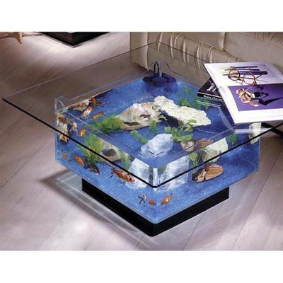 675 Aquarium Coffee Table