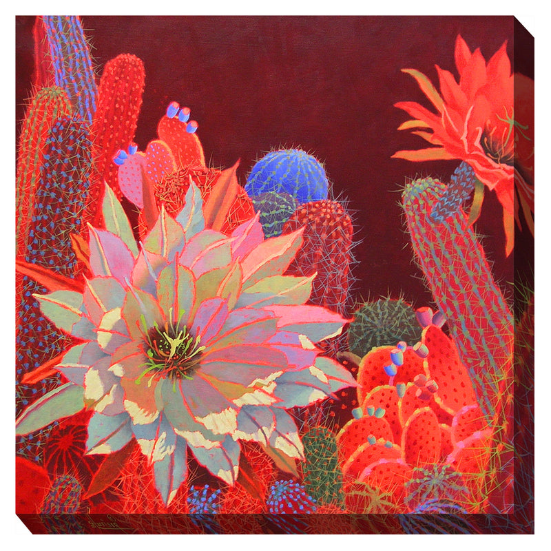 Desert Red Outdoor Canvas Art