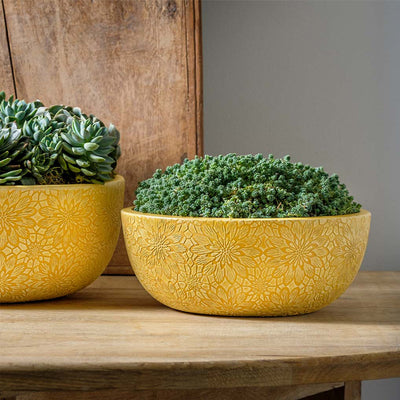 Chrysanthemum Bowl | Cold Painted Terra Cotta Planter
