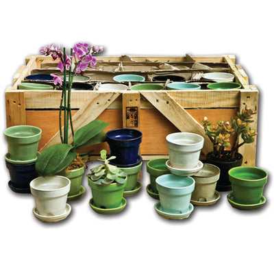 Garden Terrace Crate Set of 48 in Assorted Glaze