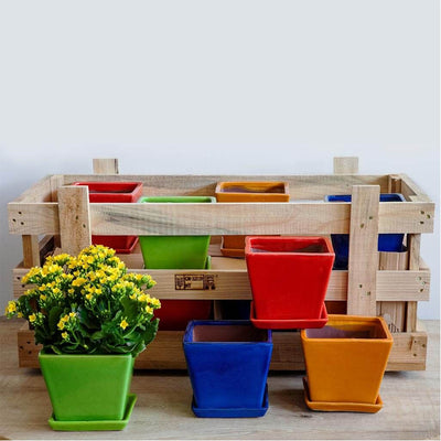 Garden Terrace Large Brights Crate Set of 16