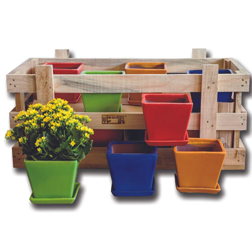 Garden Terrace Large Brights Crate Set of 16