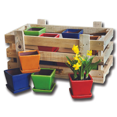 Garden Terrace Small Brights Crate Set of 16