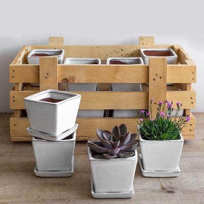 Garden Terrace Small Square White Crate Set of 16