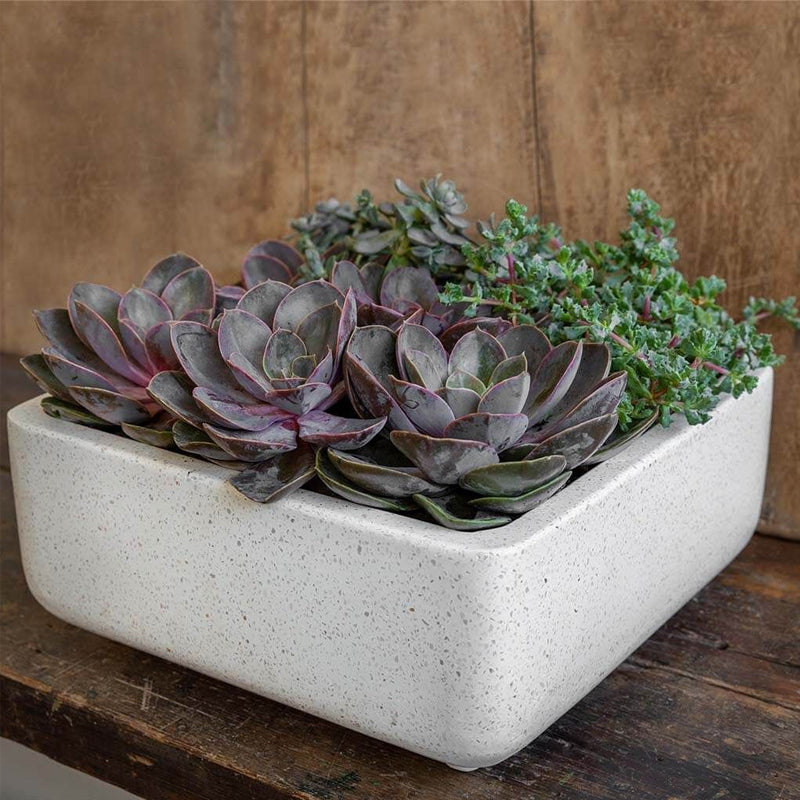 Geo Square Footed Planter  Set of 4 in Terrazzo White Finish