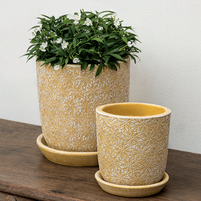 Marguerite Small Round Cold Painted Terra Cotta Planter