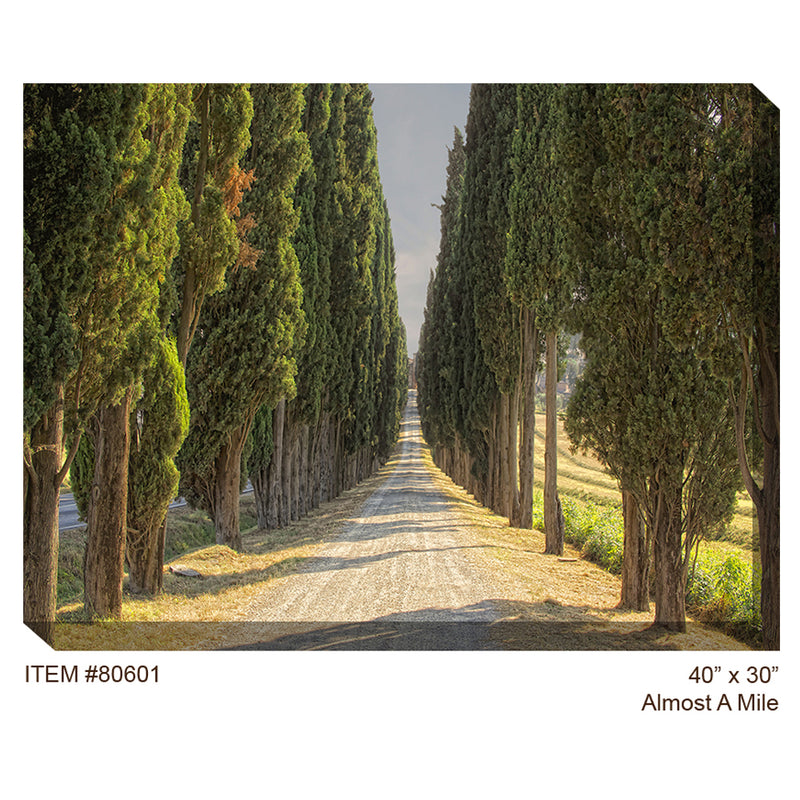 Almost a Mile Outdoor Canvas Art