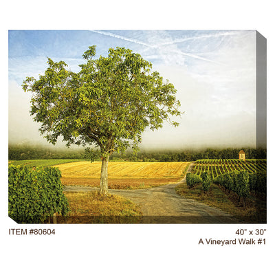 A Vineyard Walk #1 Outdoor Canvas Art