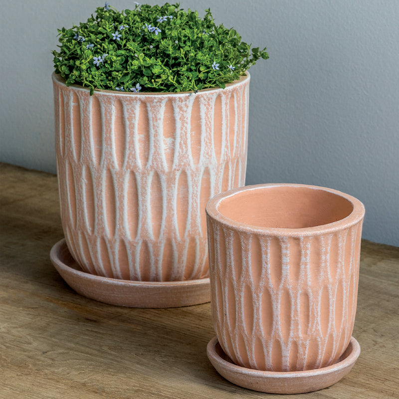 Parabola Set of 8 | Cold Painted Terra Cotta Planter