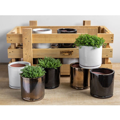 Small Cylinder Planter Crate Set of 16 in Assorted Glaze